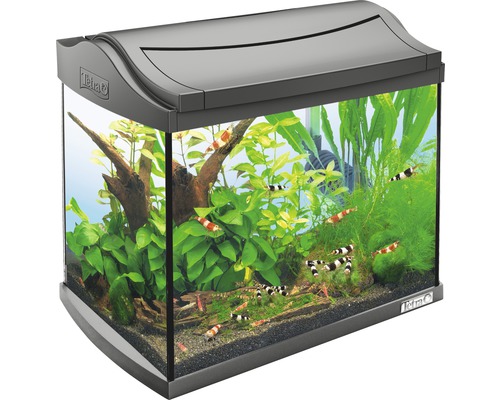 Aquarium met planten, garnalen en Tetra logo