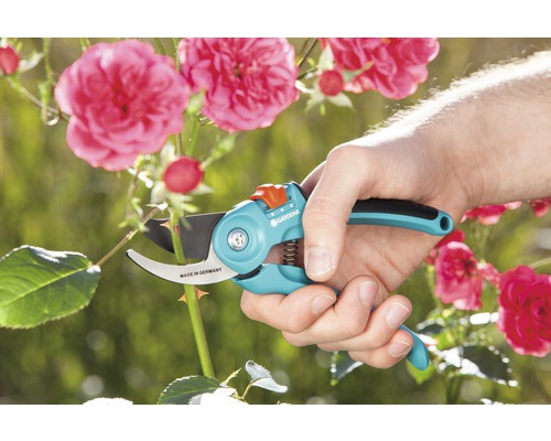 Tuinschaar knipt rozensteel, vastgehouden door een hand. Gardena Logo.