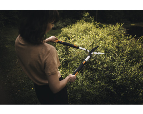 Vrouw snoeit haag met een heggenschaar