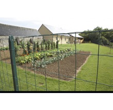 Gaas Axial Residence groen 60x2500 cm-thumb-2 Gaas Axial Residence groen 60x2500 cm-thumb-2