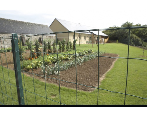 Tuinscene met metalen hekwerk en groentebed