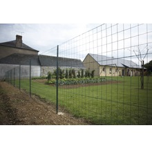 Gaas Axial Residence groen 60x2500 cm-thumb-3 Gaas Axial Residence groen 60x2500 cm-thumb-3