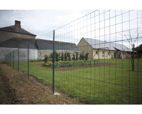 Tuinlandschap met draadafsluiting rond een groentetuin