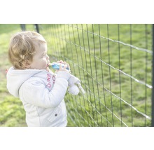 Gaas Axial Residence antraciet 60x2500 cm-thumb-1 Gaas Axial Residence antraciet 60x2500 cm-thumb-1