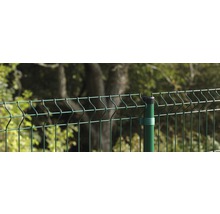 Paneel Arista groen 60x199,9 cm-thumb-2 Paneel Arista groen 60x199,9 cm-thumb-2