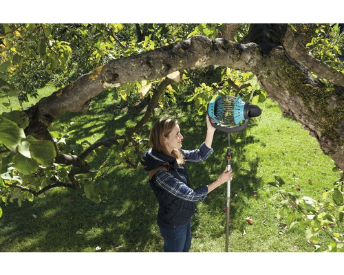 Vrouw oogst fruit met een fruitplukker in een boom in de tuin