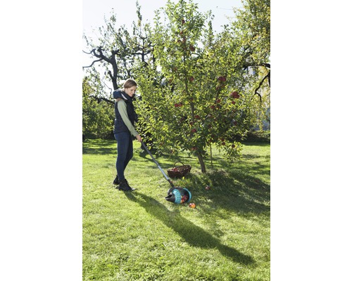 Een vrouw verzamelt appels met een appelverzamelaar in een tuin.