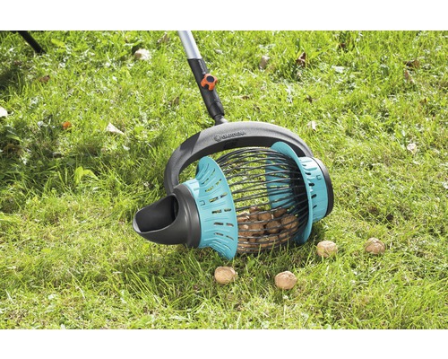 Walnotenoogst met een walnotenverzamelaar op een gazon.