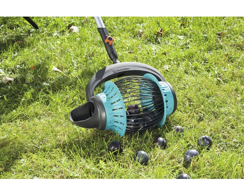 Gardena fruitverzamelaar in gebruik op een gazon met pruimen.