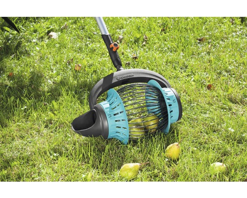 Gardena fruitplukker in gebruik op een gazon met rijp fruit.