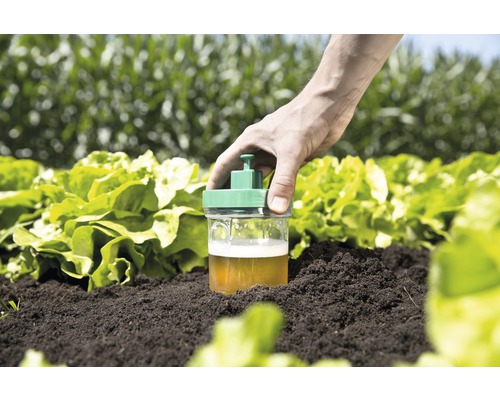 Slakkenval in de moestuin