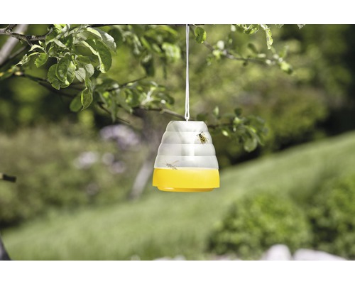 Wespval hangt aan een boom