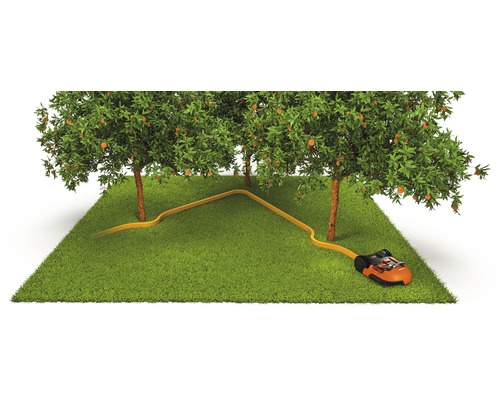 Scene met robotmaaier, perimeterdraad en fruitbomen op gazon