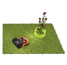 Grasveld met robotmaaier en rozenstruik