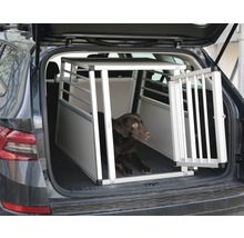 Hond in een aluminium transportbox in de kofferbak van een auto