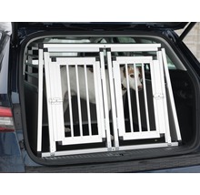 Hond in aluminium transportbox in de kofferbak van een auto