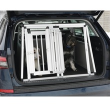 Twee honden in een aluminium hondenbench in de kofferbak van een auto