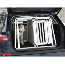 Hond in een aluminium transportbox in de kofferbak van een auto