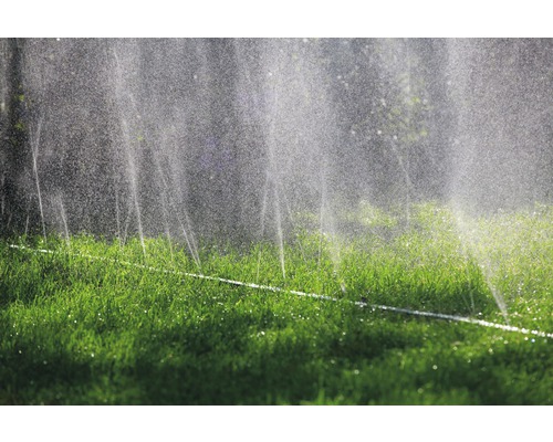 Irrigatiesysteem in de tuin sproeit het gazon