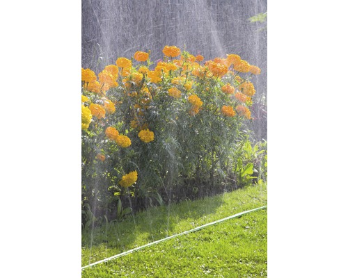 Besproeien van bloemen met een gazonsproeier in de tuin