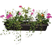 Bloembak met klimrek en verschillende planten