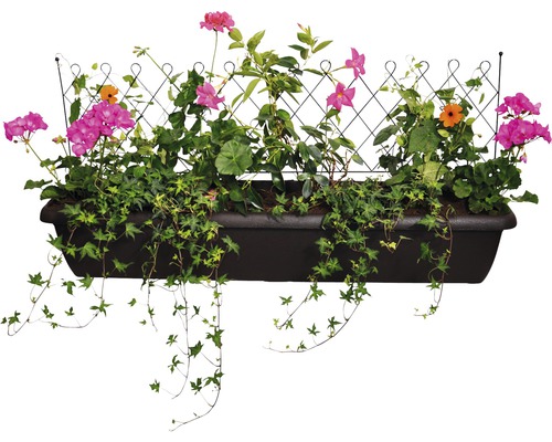 Bloembak met klimrek en verschillende planten