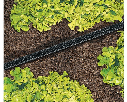 Druppelslang in de tuin voor het bewateren van slaplanten