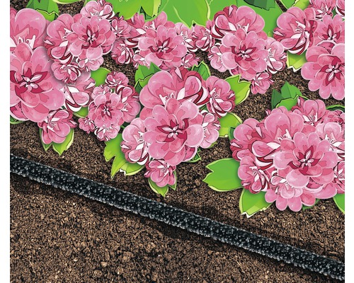 Illustratie van tuinbewatering met druppelslang naast bloemen.