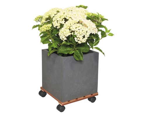 Vierkante plantenbak met hortensia op plantenroller