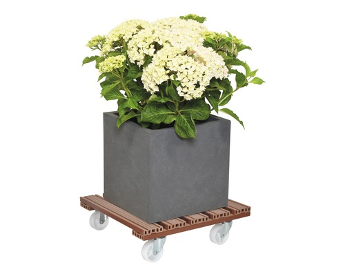 Vierkante plantenbak met hortensia op plantenroller