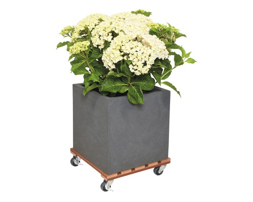 Vierkante plantenbak met hortensia op wielen
