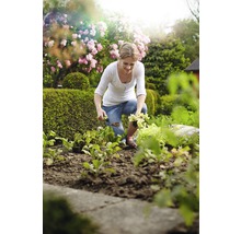 Een vrouw plant sla en groenten in een tuinbed.