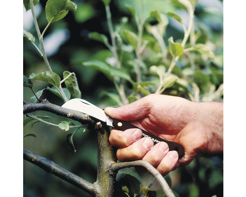 Een hand gebruikt een Fiskars oculatiemes om een tak te snoeien.