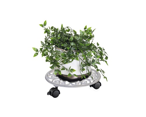 Plant in een pot op een plantenroller