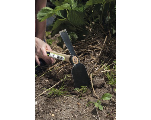 Tuinhacke met houten handvat in gebruik voor tuinieren.