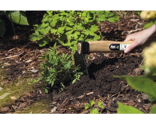 Tuinhacke met houten handvat in gebruik voor het planten in de aarde