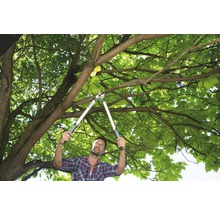 Man snoeit takken met een takkenschaar in de boom