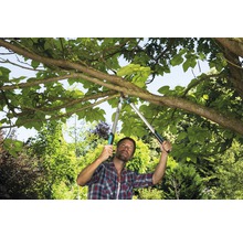 Man snoeit tak met een takkenschaar in de tuin