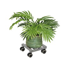Kamerplant in een pot op een plantenroller