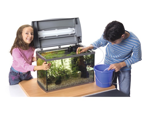 Aquarium met twee kinderen die het aquarium schoonmaken en onderhouden