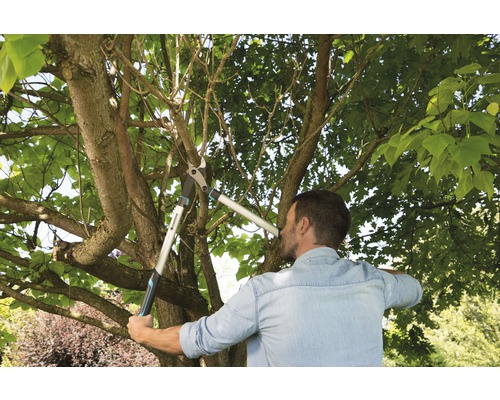 Een man snoeit takken met een takkenschaar in de tuin.