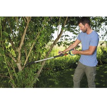 Man snoeit een boom in de tuin met een takkenschaar.