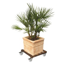 Planten in een pot op een plantenroller