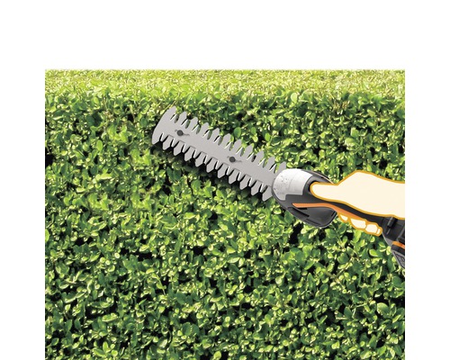 Heggenschaar in gebruik voor het snoeien van een haag