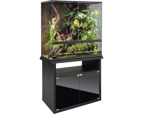 Glazen terrarium op een kast met planten en decoratie