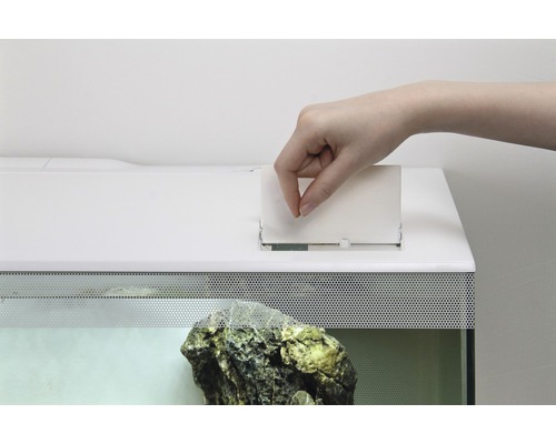 Een hand voert voer in een aquarium