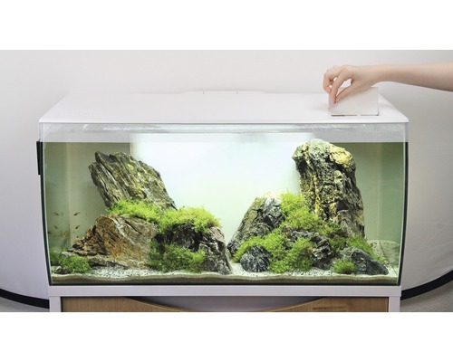 Ingericht aquarium met deksel en decoratie