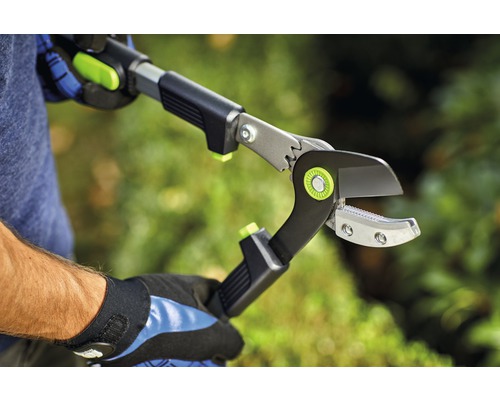 Bediening van een telescopische takkenschaar voor het snoeien van takken