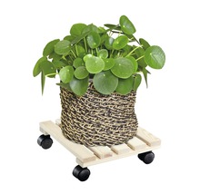 Pilea in mand op plantenroller van hout