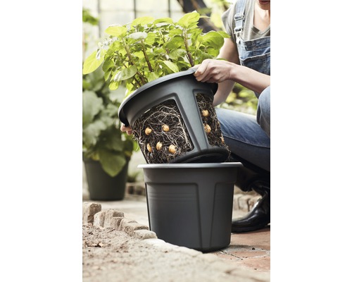 Vrouw houdt plantenpot met aardappelen en wortels boven een andere plantenpot